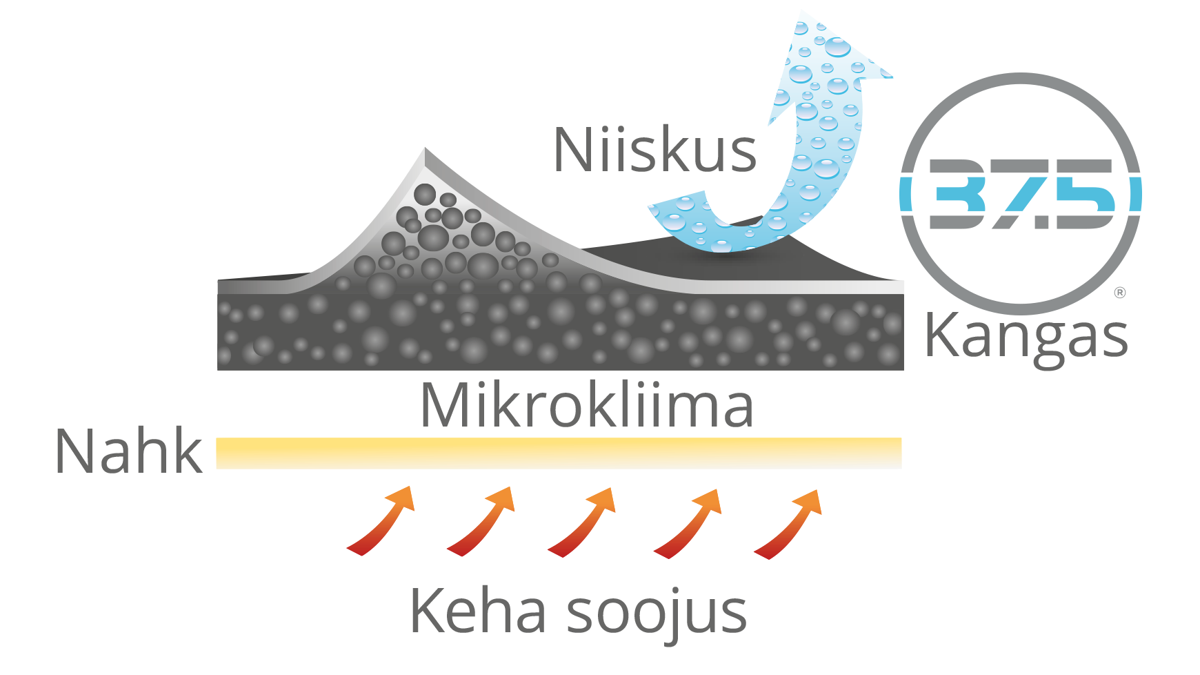 37.5 tehnoloogia